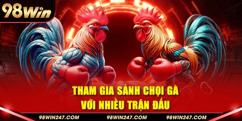Giới thiệu 98win tham gia sảnh chọi gà